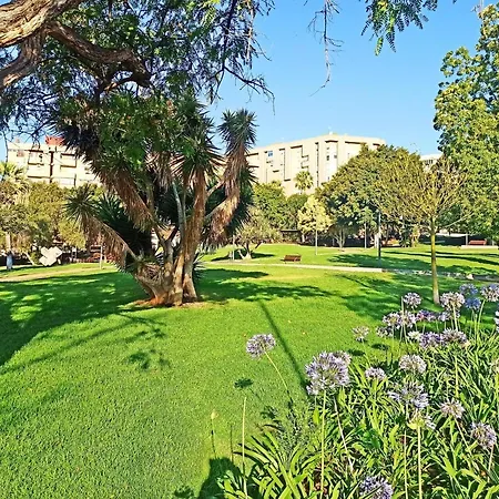 Appartement Loft Cruz